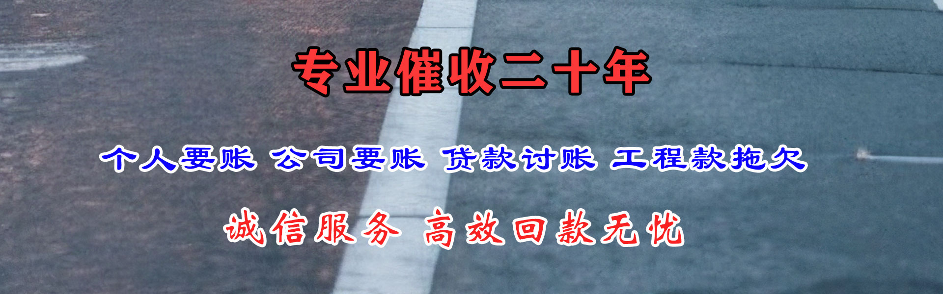 乐安追债公司